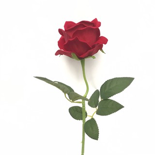 Hoa lụa cao cấp quà tặng Valentine - Hoa hồng nhung đơn dài 50cm
