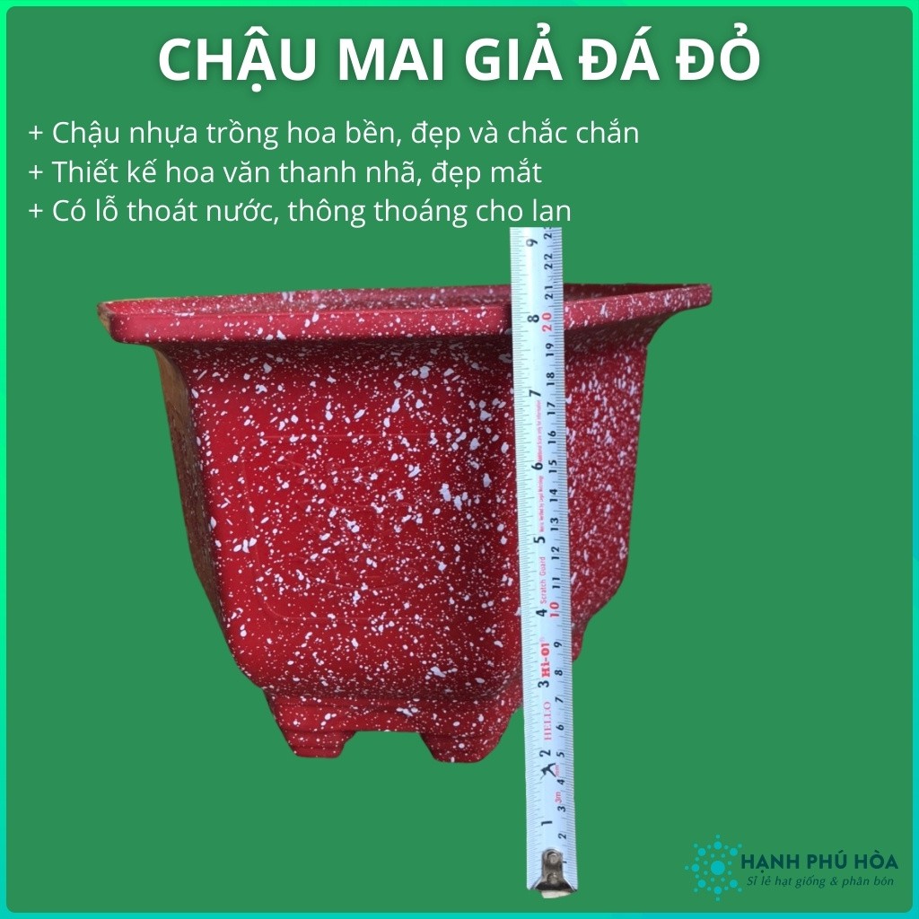 Chậu Mai Đỏ Giả Đá 210-280 -Trồng Hoa Lan, Cây Kiểng - Chậu Nhựa , Đẹp, Nhẹ, Chắc Chắn