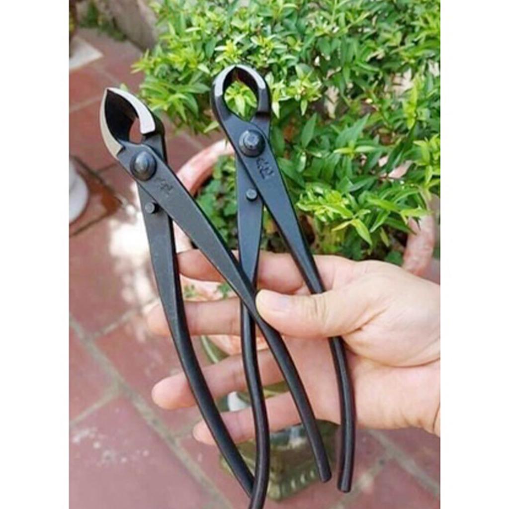 Kìm cạp cây cảnh bonsai đầu tròn Nhật Bản 21 cm thép siêu bền