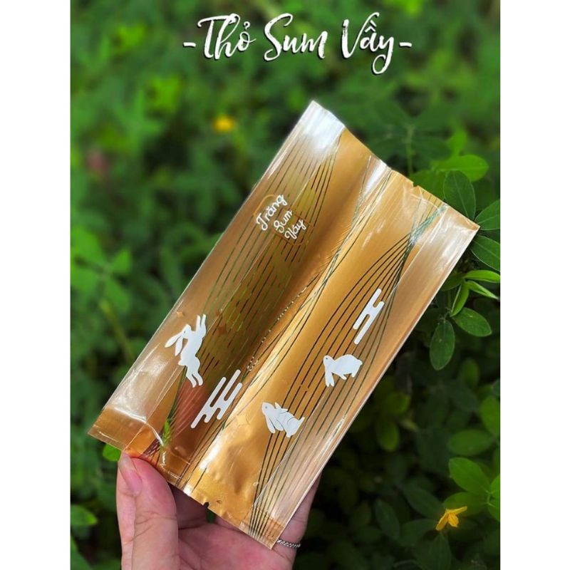 Khay +Túi trung thu size 200g ,nhiều mẫu