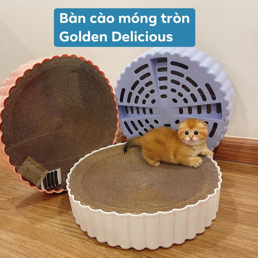 Bàn Cào Móng Hình Tròn Kiêm Đệm Nằm Cho Mèo Size Lớn 39cm (Có Lõi Thay Thế Tiết Kiệm) - Ảnh Thật Sản Phẩm Kèm Người Mẫu