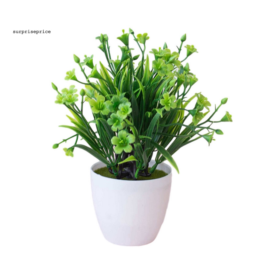 Chậu Cây Nhân Tạo Chống Mòn Dùng Trang Trí Bàn Làm Việc/Khách Sạn