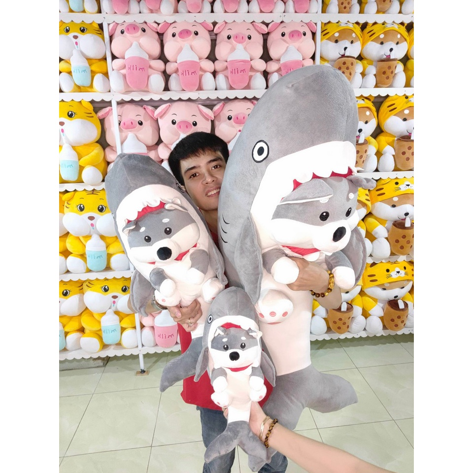 GẤU BÔNG CÁ MẬP MẬT CHÓ, CÁ NẬP MẶT GẤU SIÊU CUTE