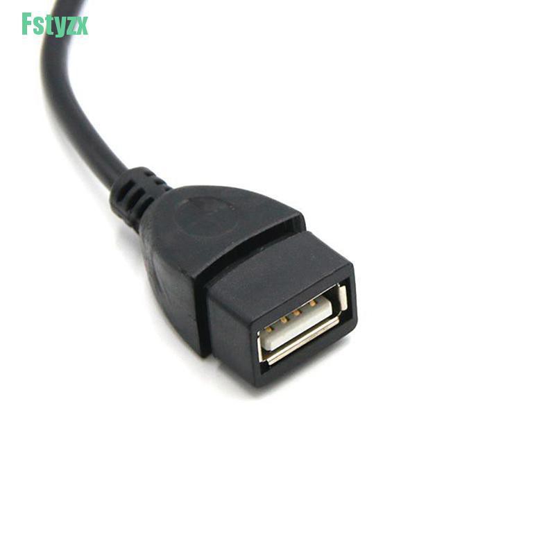 fstyzx Mini USB Male to USB Female Car OTG Cable Adapter For Video Camera