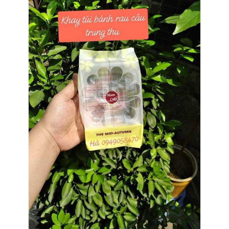Set 95-100_khay túi đựng bánh 200g, bánh rau câu trung thu khay trắng hàng VN