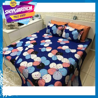 Bộ Drap 1M6X2M Trải Giường Kèm 2 Vỏ Gối Đầu(VIKOKHA-203)