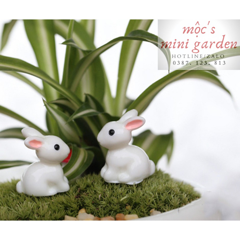 Phụ kiện giá rẻ_Thỏ ngọc trắng_TH43