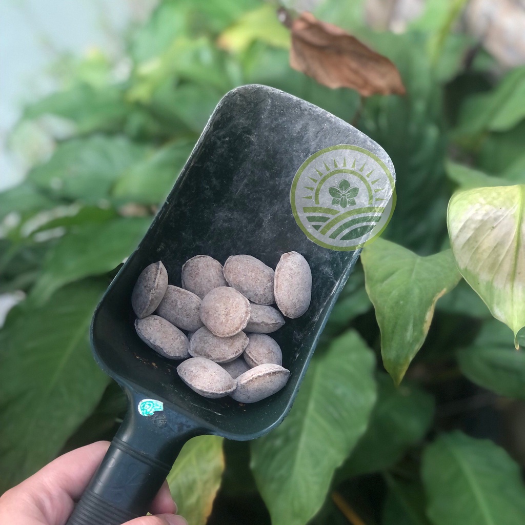 PHÂN TAN CHẬM QUẢ BÀNG NURSERYACE  12-6-6-2 NHẬT BẢN