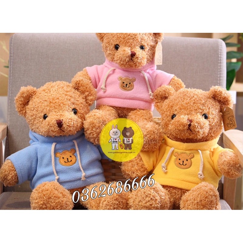 Gấu Teddy - Teddy áo hoodie đội mũ cao cấp - Xưởng Gấu Bông Việt Nam