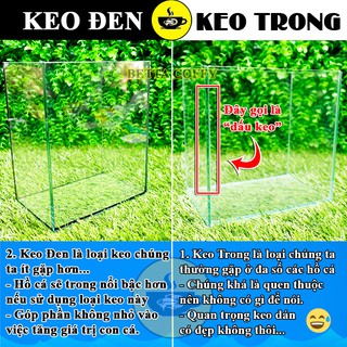 Bể Cá bằng kính mini - Hồ cá Betta (Dấu keo - Keo Đen Trắng)