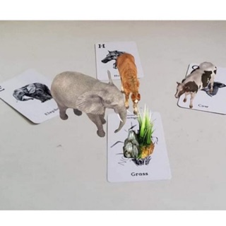 Bộ 38 Thẻ Animal 4D - Thế giới động vật trên ảnh 4D