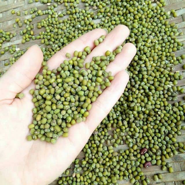 Đậu xanh quê hạt nhỏ nguyên hạt nhà trồng