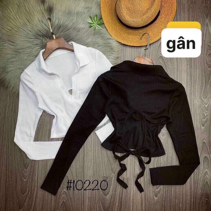 Áo cổ  | BigBuy360 - bigbuy360.vn