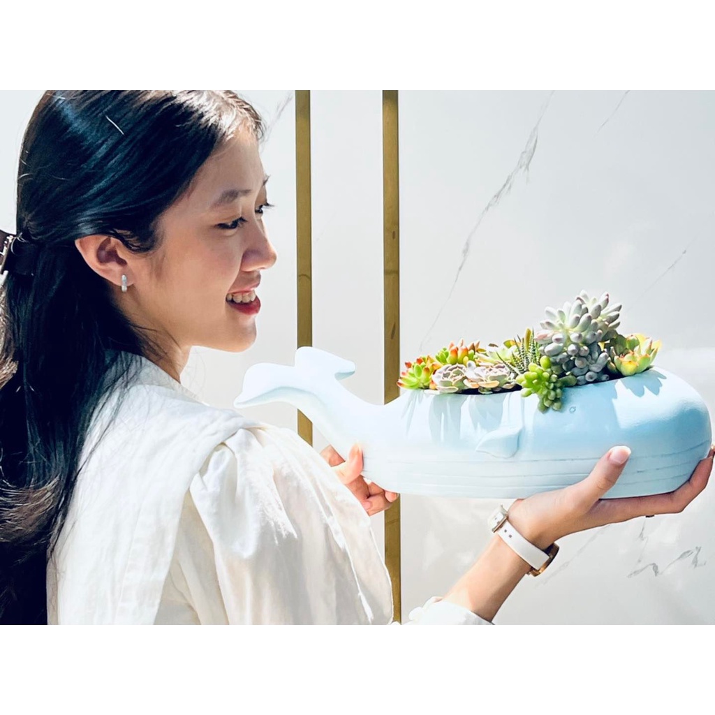 Chậu cá Voi Xanh trồng cây, nuôi cá, trang trí, decor , trồng sen đá - bằng Poly và sợi thuỷ tinh