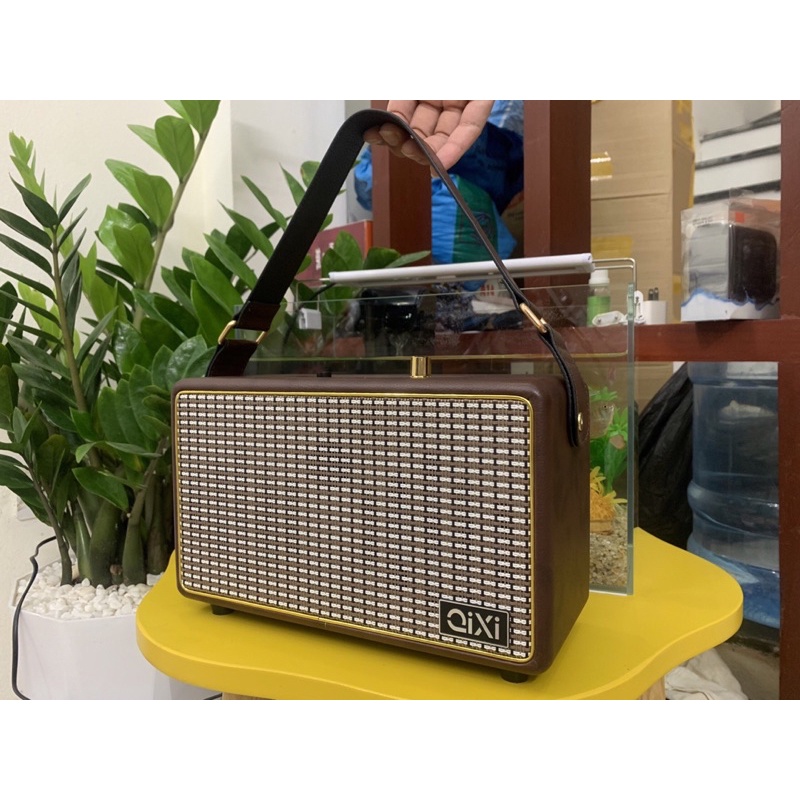 Loa Bluetooth Qixi SK-2025 Âm Thanh Siêu Đỉnh Tích Hợp Cổng Micro 6.5 Karaoke Micro Không Dây BH 12 tháng