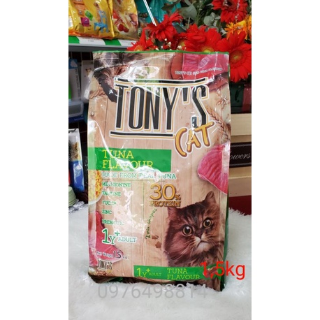 Hạt mèo tony