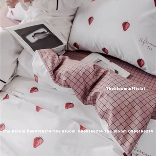 Set Chăn Ga Gối Cotton poly 4 Món - Quả Dâu