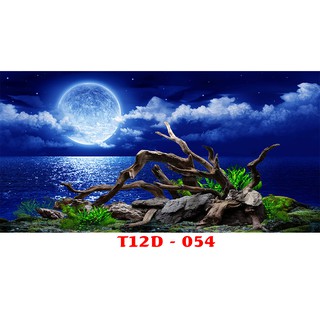 Tranh 3d bể cá T12D-054 kt ( 60,80,90,100,120,150,160 )
