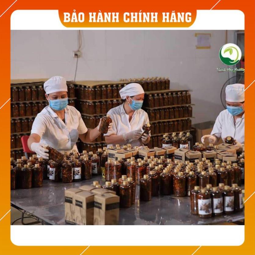 Rượu xoa bóp Xương Khớp Người Dao Thanh Mộc Hương - Hàng Chính hãng