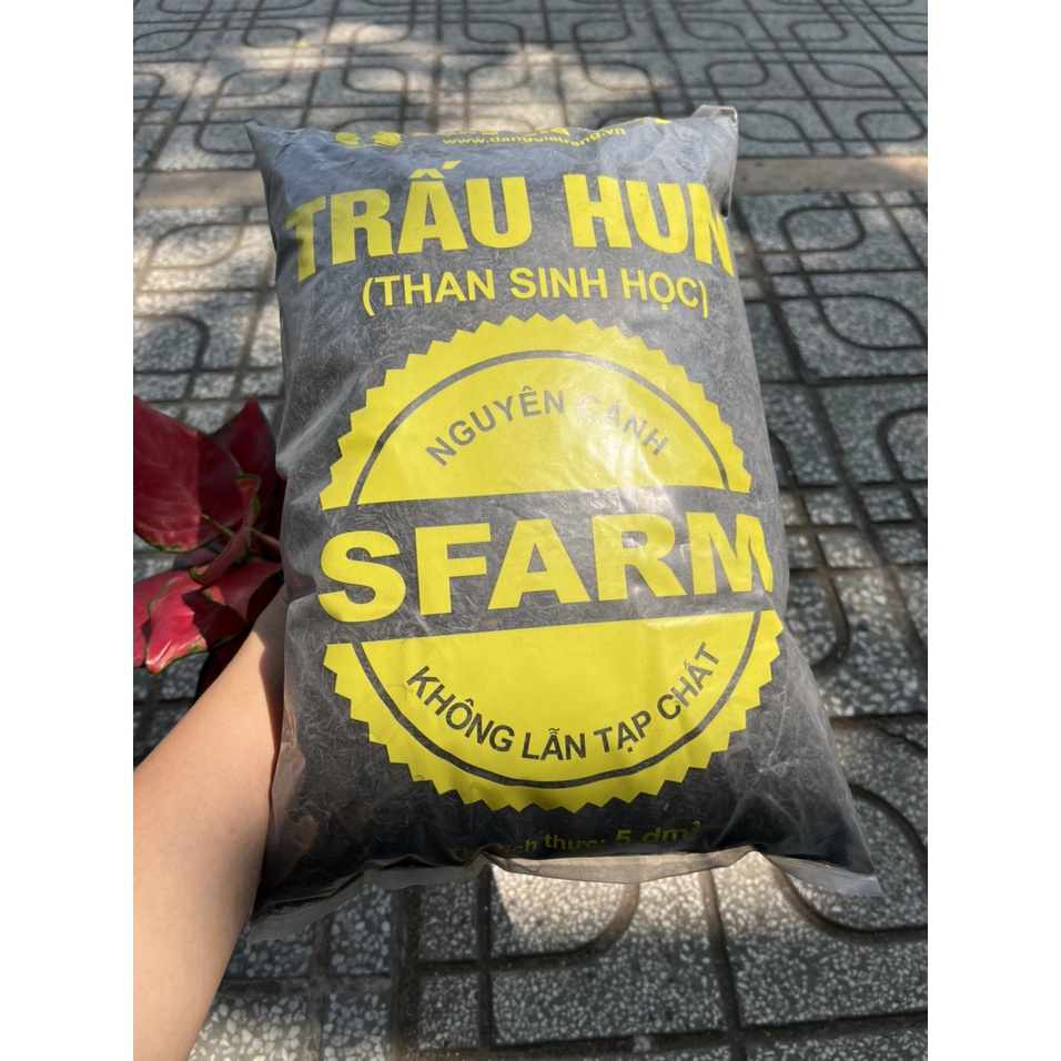 TRẤU HUN  nguyên cánh SFarm, giá thể trộn đất gói 5dm3