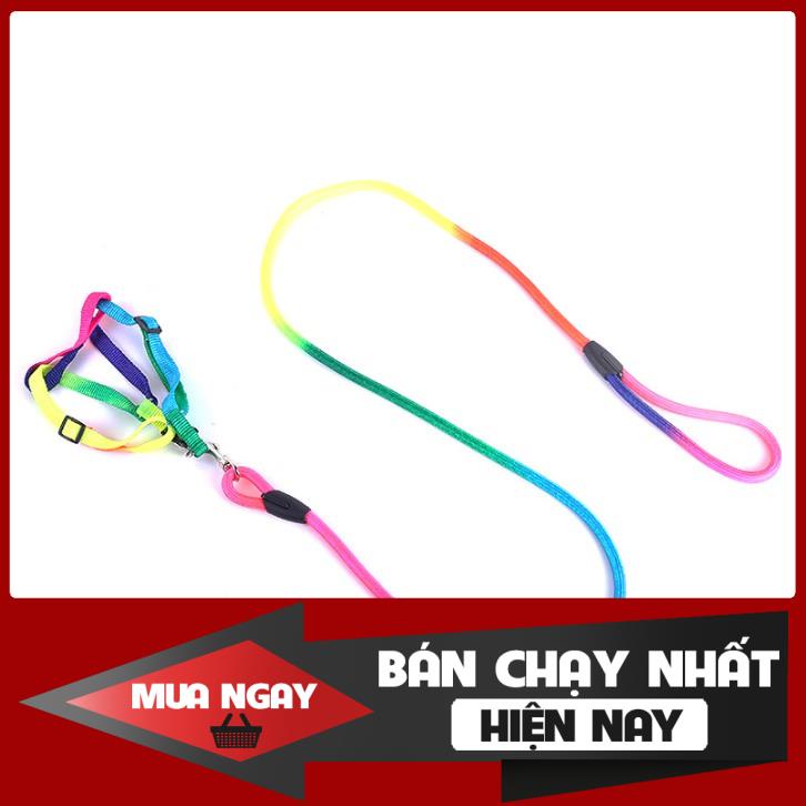 Dây dắt 7 màu cho chó mèo 0