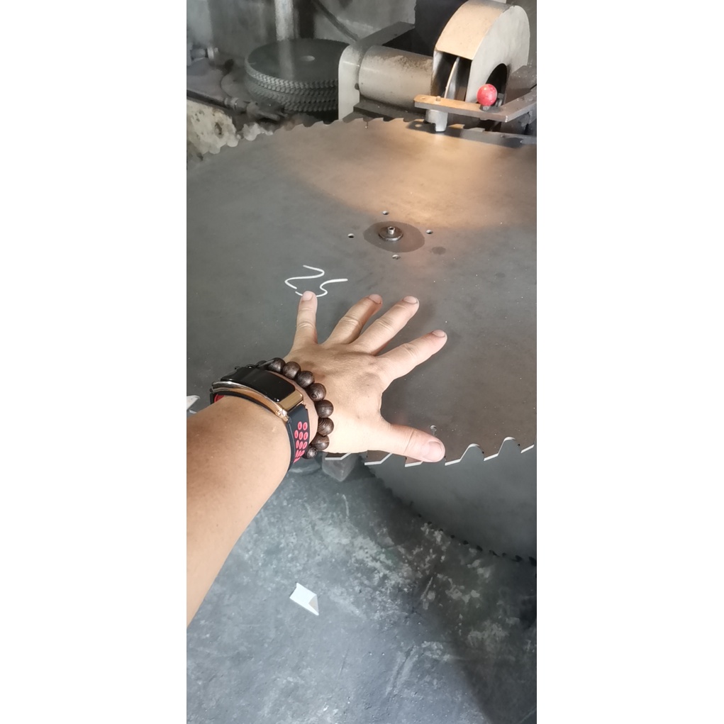 Lưỡi cưa gỗ hợp kim 400mm Ergaster.