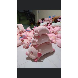 Heo mắt híp 90 cm