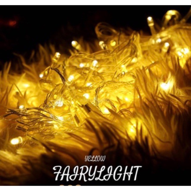 Dây Đèn Fairy Light 5 Mét Có Chớp