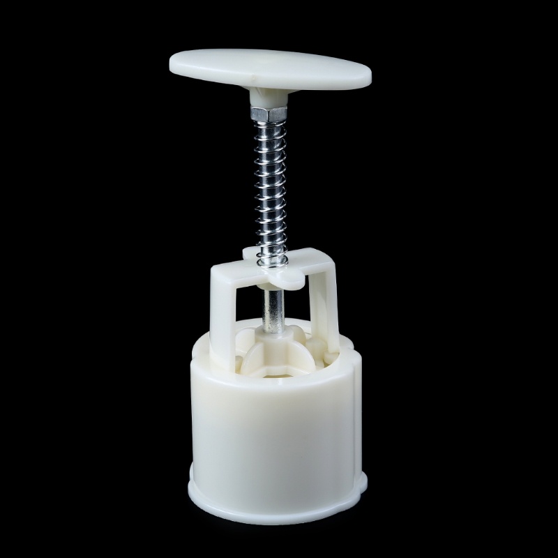 Khuôn Nhựa Làm Bánh Trung Thu DIY 75g Hình Rồng