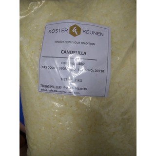 Hộp 100g Sáp candelilla hạt tròn dẹp