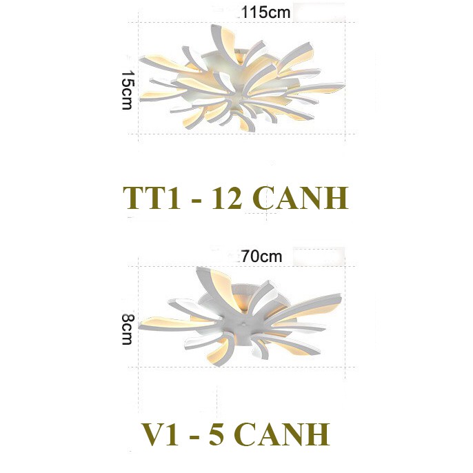 Đèn Ốp Trần Trang Trí - Áp Trần Phòng Khách - Đèn Âm Trần Gồm 3 Chế Độ Ánh Sáng Có Điều Khiển Từ Xa VT1