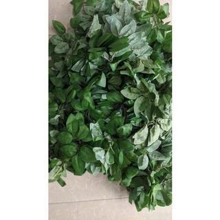 Lá hồng lụa 100gr (50-60 lá)