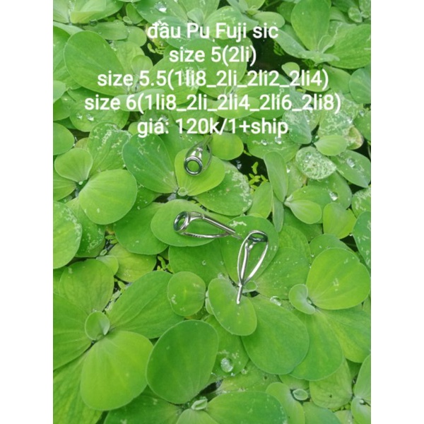 1 cái đầu bu chống xoắn fuji sic size 6