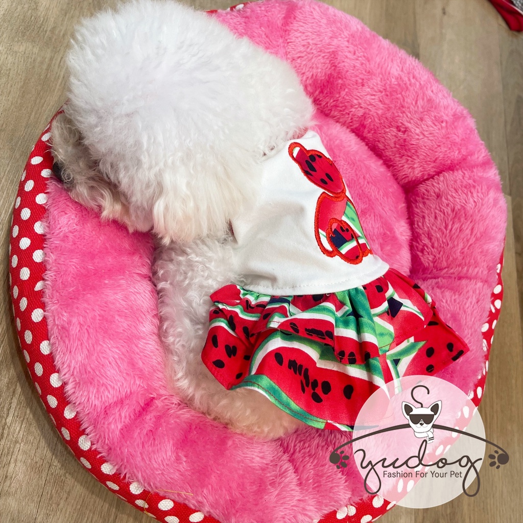 Đầm cho chó mèo - váy mặc cho chó mèo thú cưng yudog