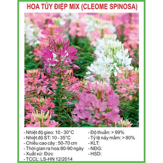 Hạt Giống Hoa túy điệp Mix (Hồng ri) 30 Hạt/ Gói