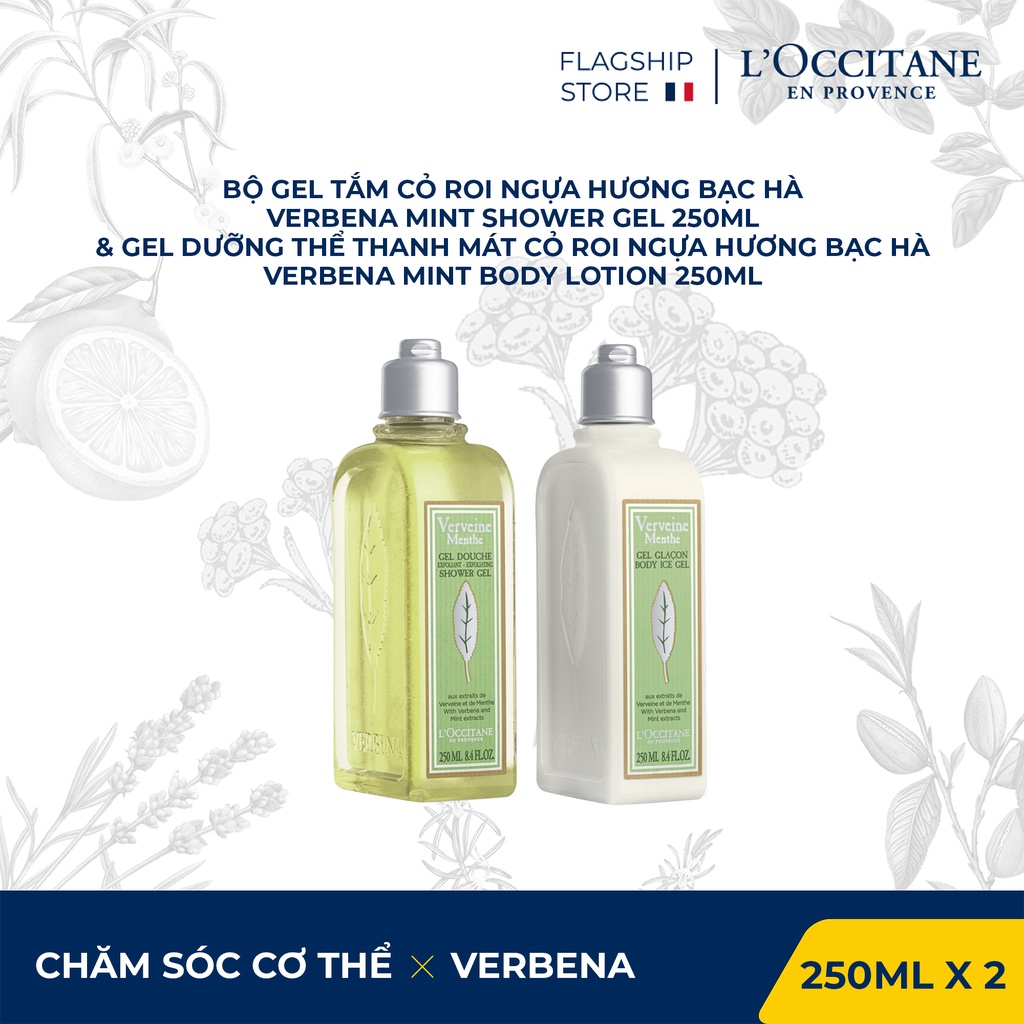 Gel Tắm Cỏ Roi Ngựa &amp; Gel Dưỡng Thể Cỏ Roi Ngựa Hương Bạc Hà 250ml L'Occitane