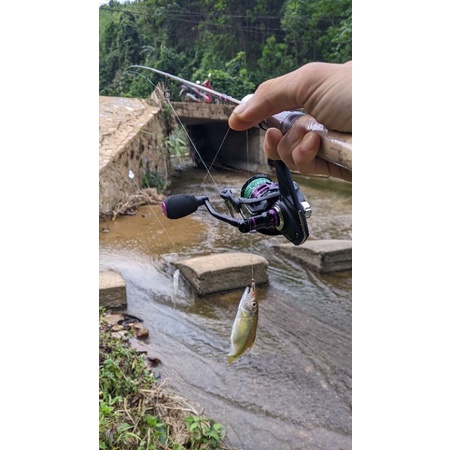 Thẻo câu cá mương buộc sẵn hạt 4,8g + Mồi Bọ câu lure cá mương