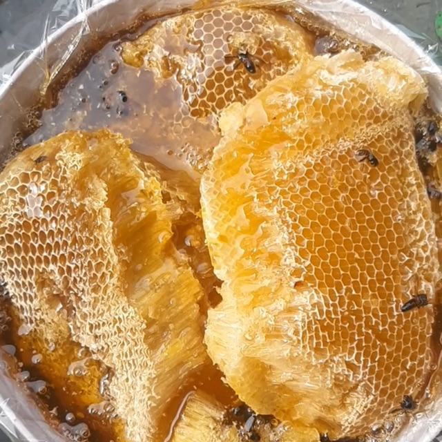 Mật ong khoái rừng( 1kg cả sáp )