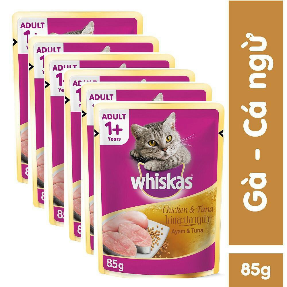 Combo 24 gói pate cho mèo Whiskas