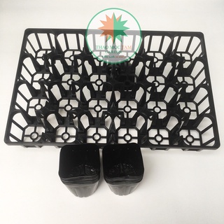 Combo 03 bộ khay 24 lỗ + 72 chậu ươm 9.0 chuẩn nhật - khay ươm cây con, cây giống làm vườn