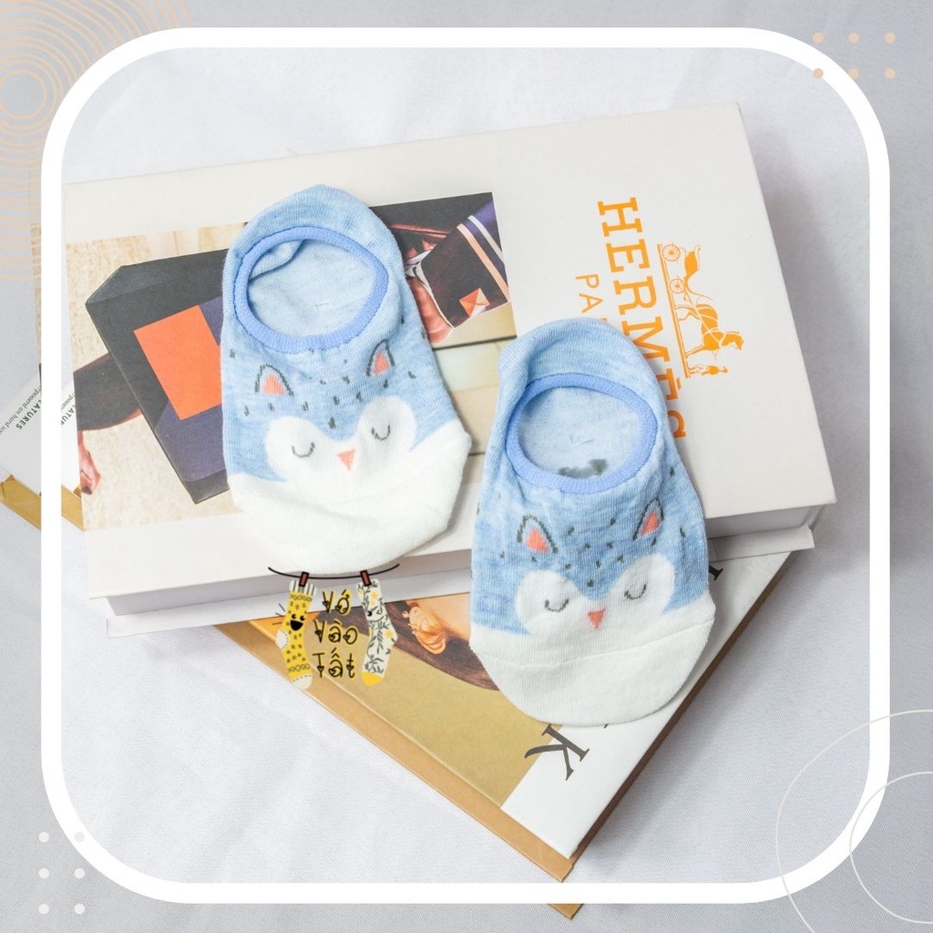 TẤT VỚ LƯỜI NỮ HOẠT HÌNH XANH BIỂN