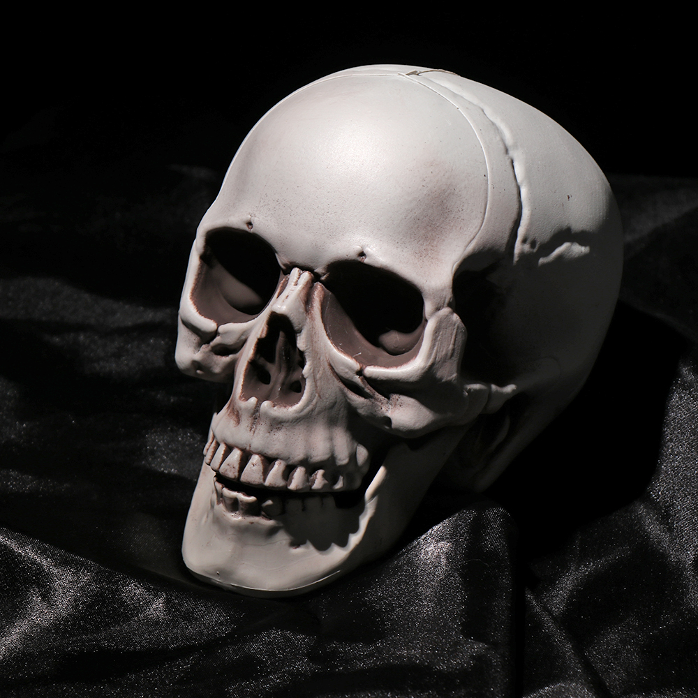 Đầu Lâu Trang Trí Halloween Nhiều Kích Cỡ Tuỳ Chọn