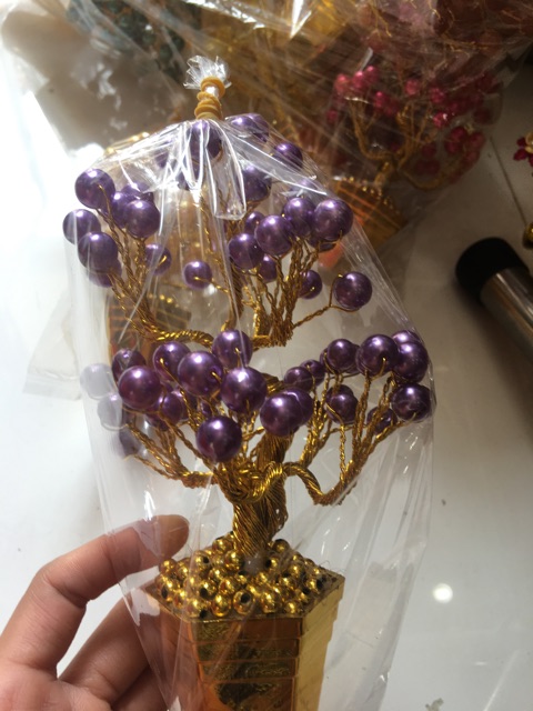 Chậu hoa để thân tài cao 18cm
