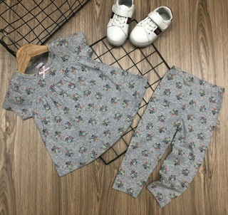 Sét đồ thun bozip