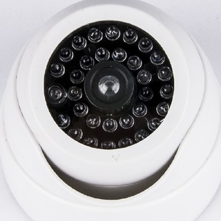 Camera Dome ốp trần mô hình dọa trộm V2