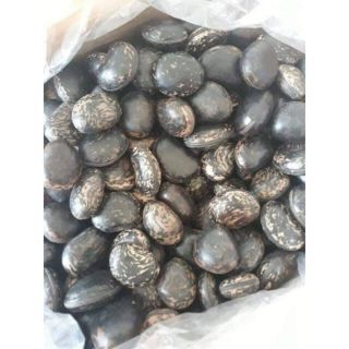 Hạt đậu lào 5 hạt