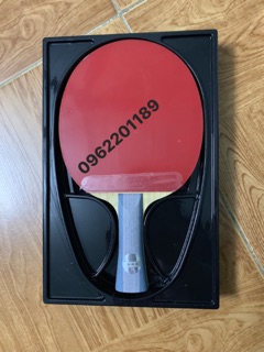 Vợt bóng bàn DHS 6002