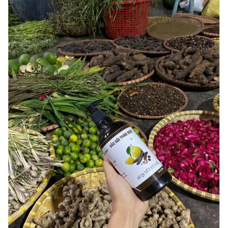 DẦU GỘI THẢO DƯỢC 500ml | BigBuy360 - bigbuy360.vn
