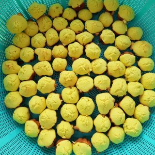Bánh thuẩn trứng gà ta