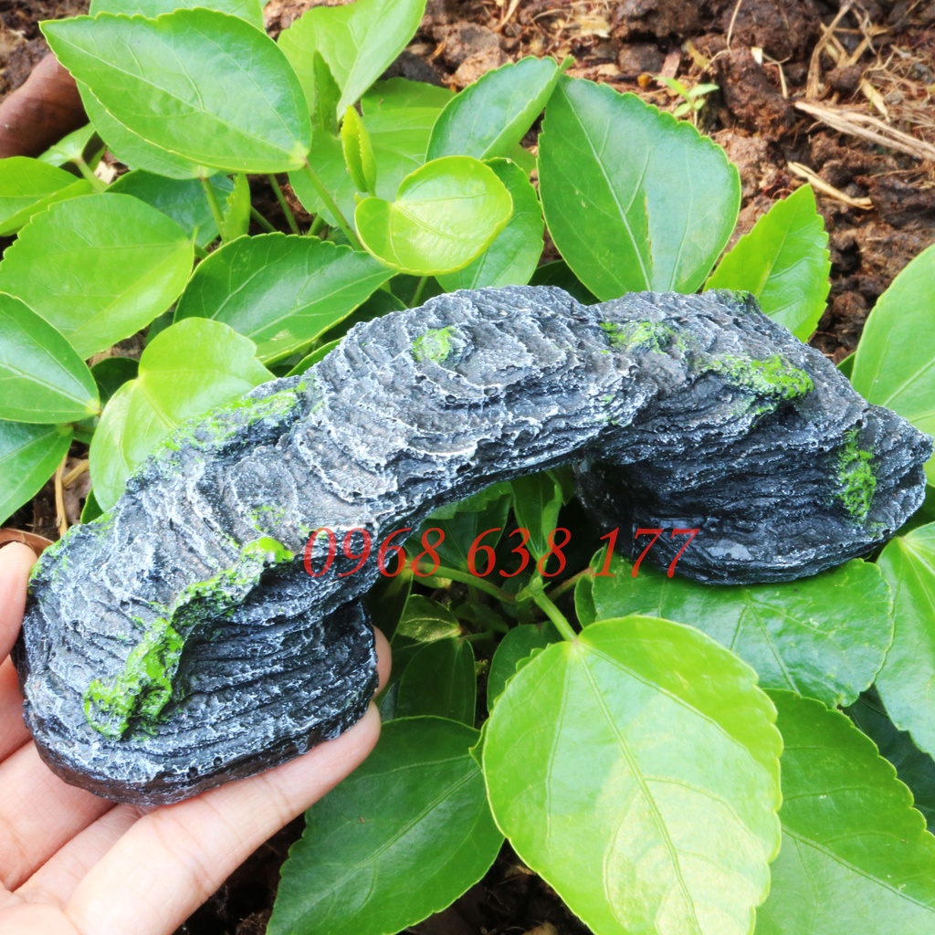 Cầu thang cho rùa, bò sát phơi nắng